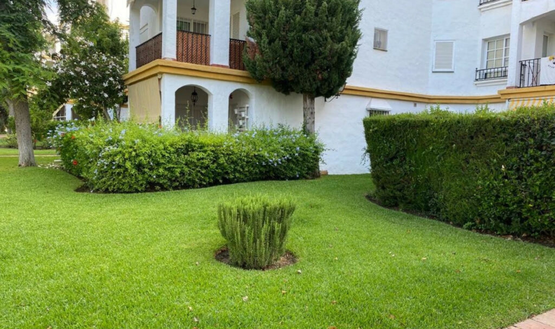 Resale - Apartment -
Diana Park