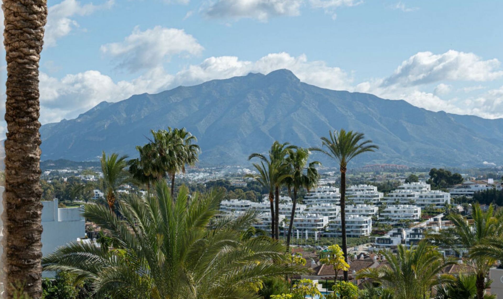 Resale - Apartment -
El Paraiso