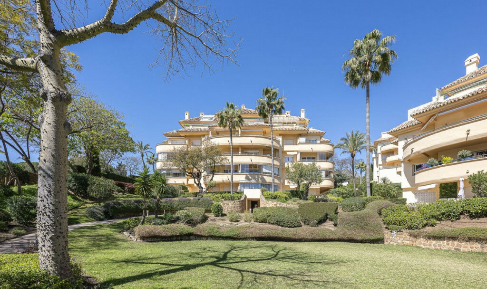 Resale - Apartment -
Elviria