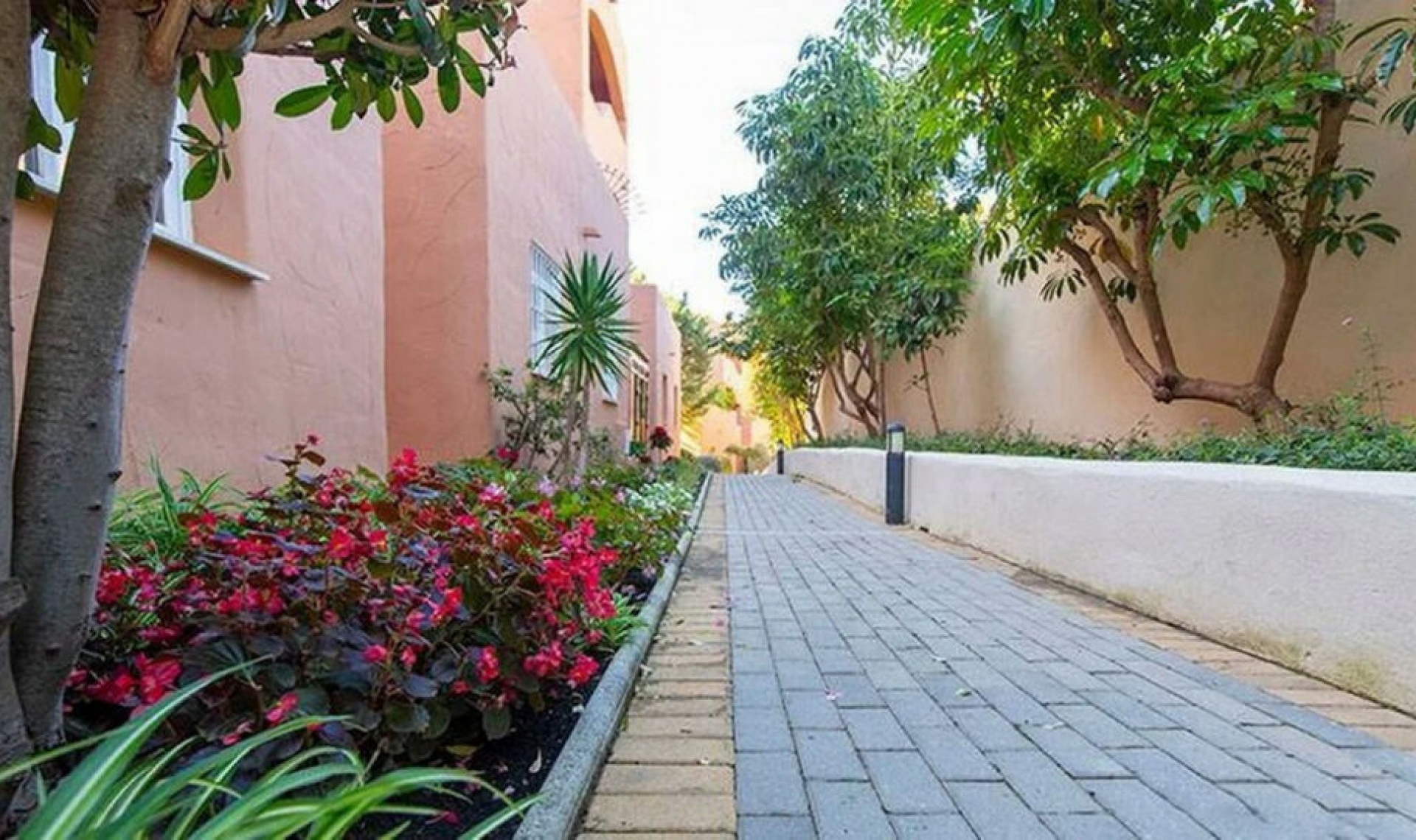 Resale - Apartment -
Elviria