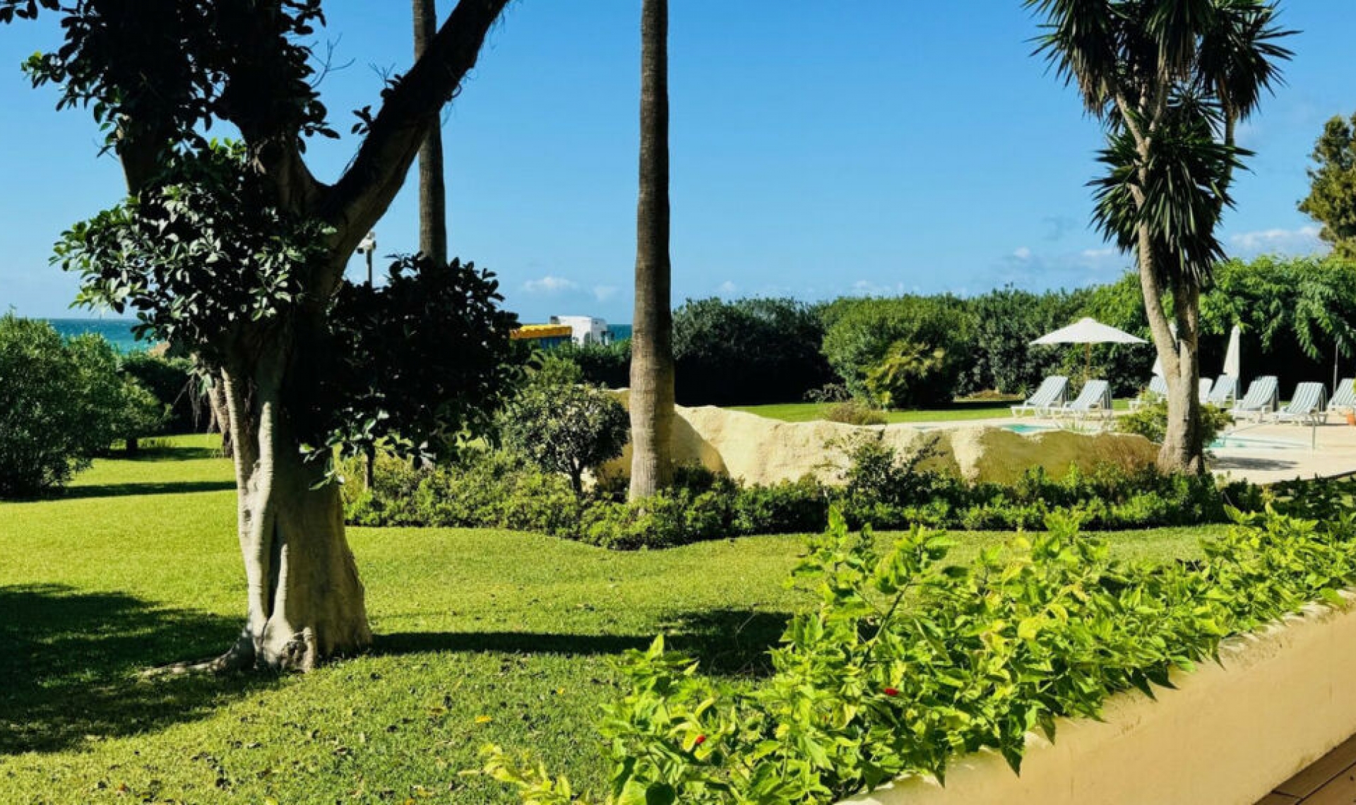 Resale - Apartment -
Elviria