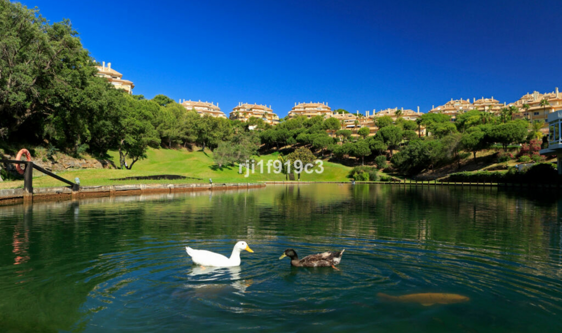 Resale - Apartment -
Elviria