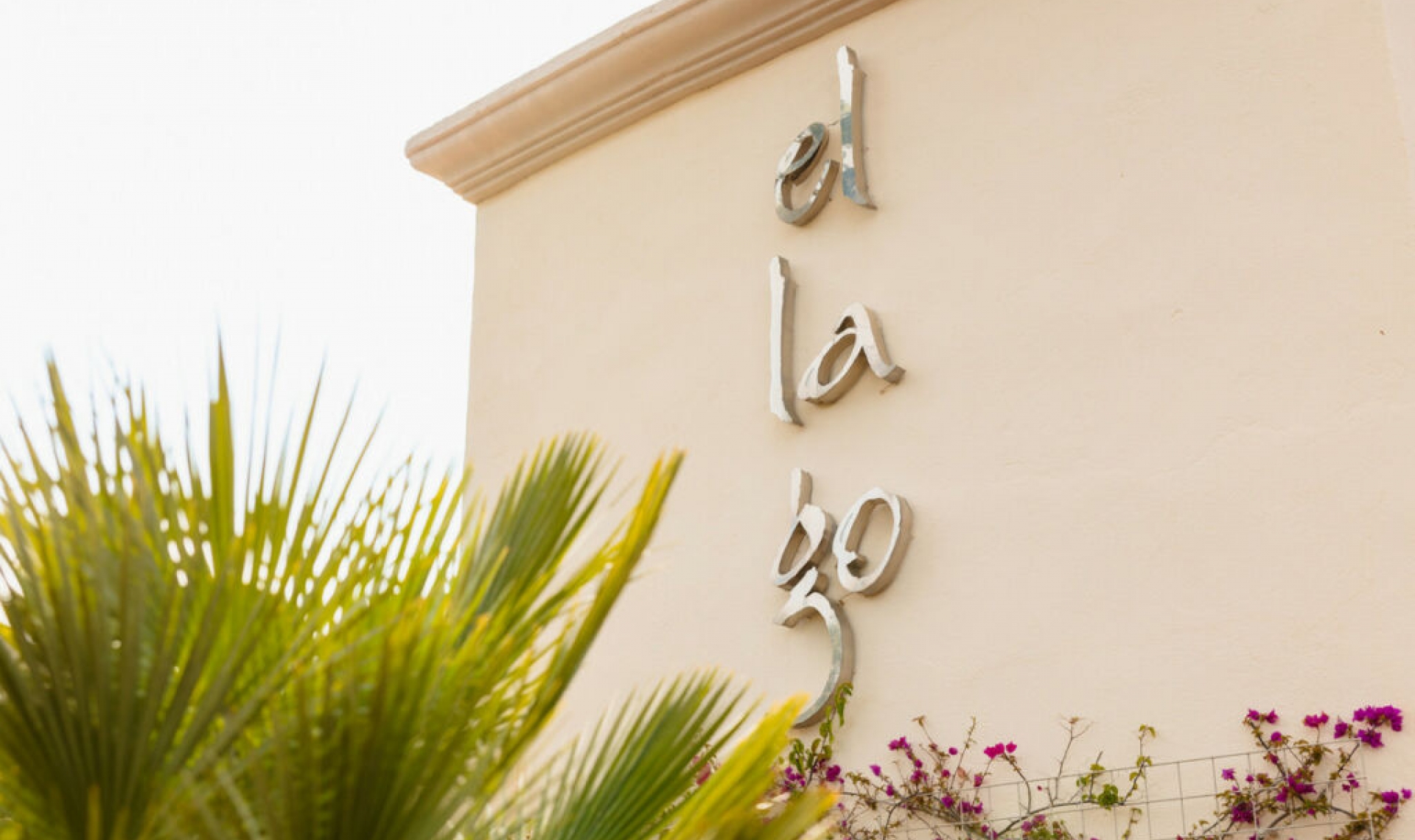 Resale - Apartment -
Elviria