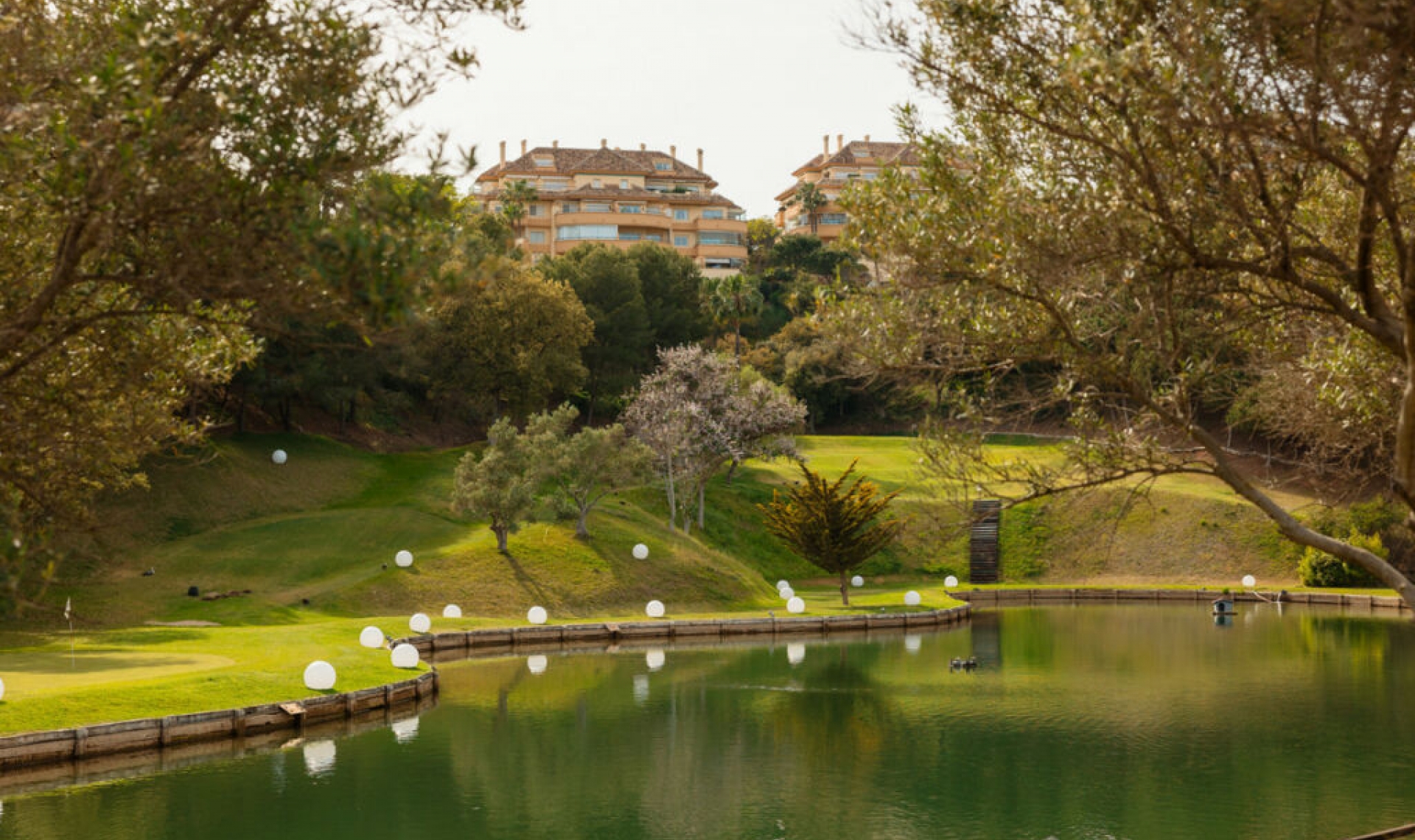 Resale - Apartment -
Elviria