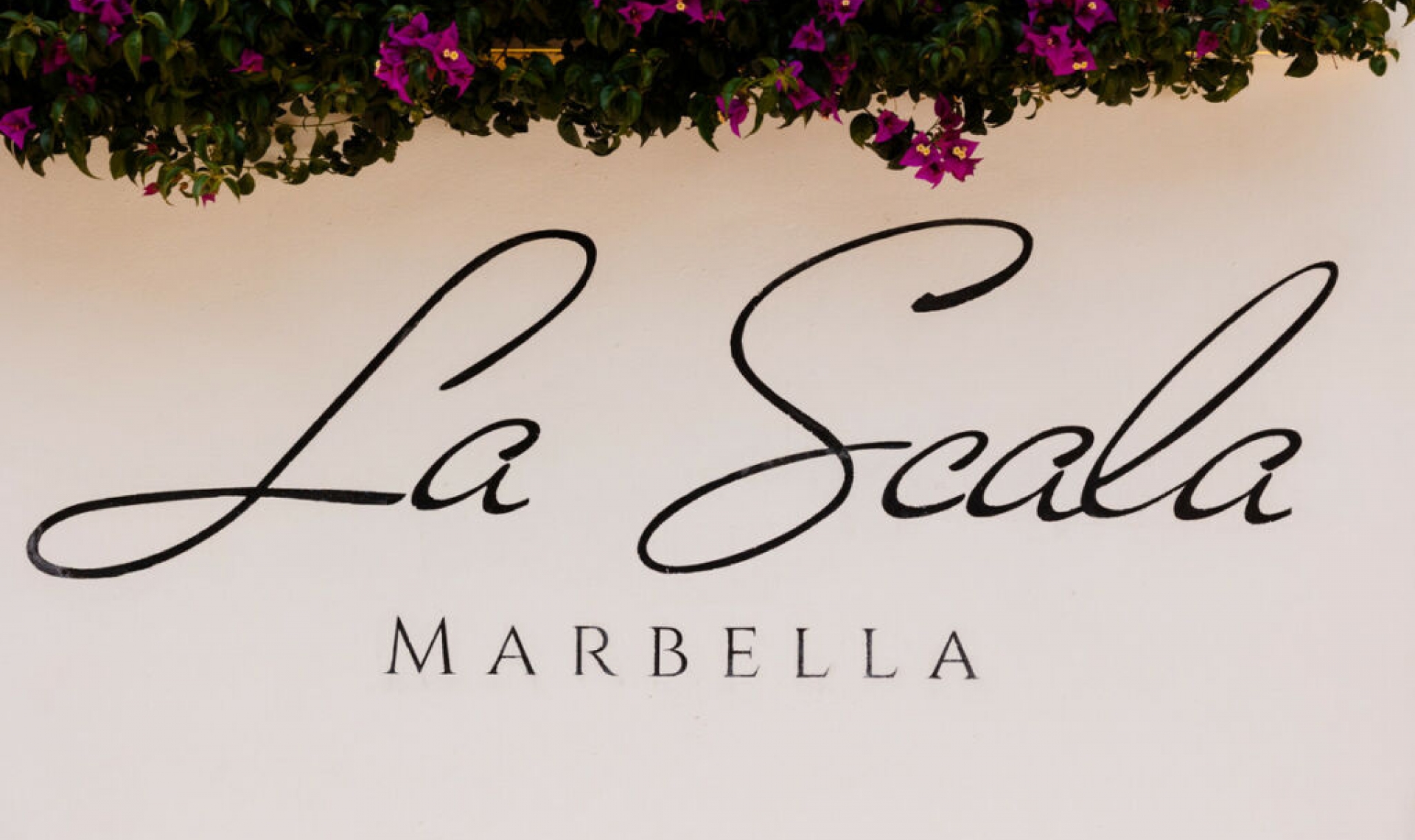 Resale - Apartment -
Elviria