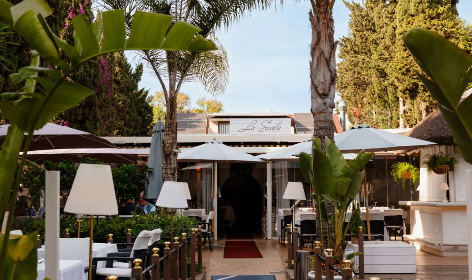 Resale - Apartment -
Elviria