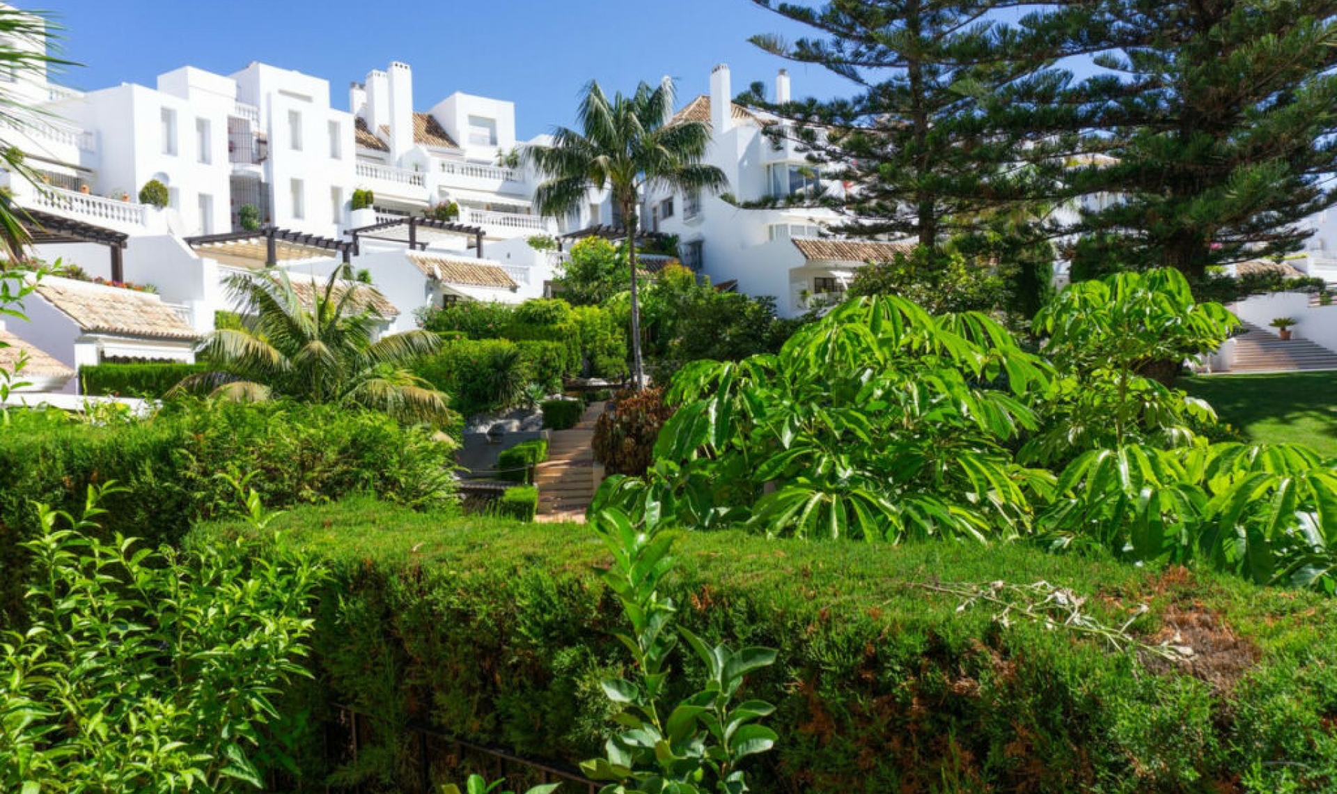 Resale - Apartment -
Elviria