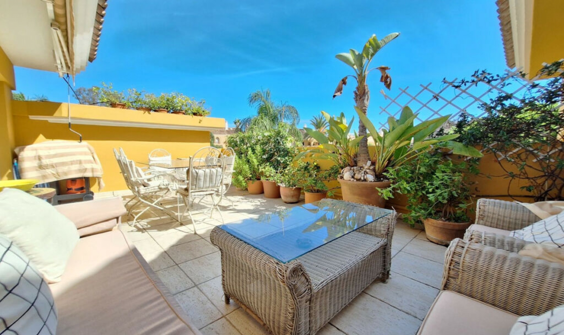 Resale - Apartment -
Elviria