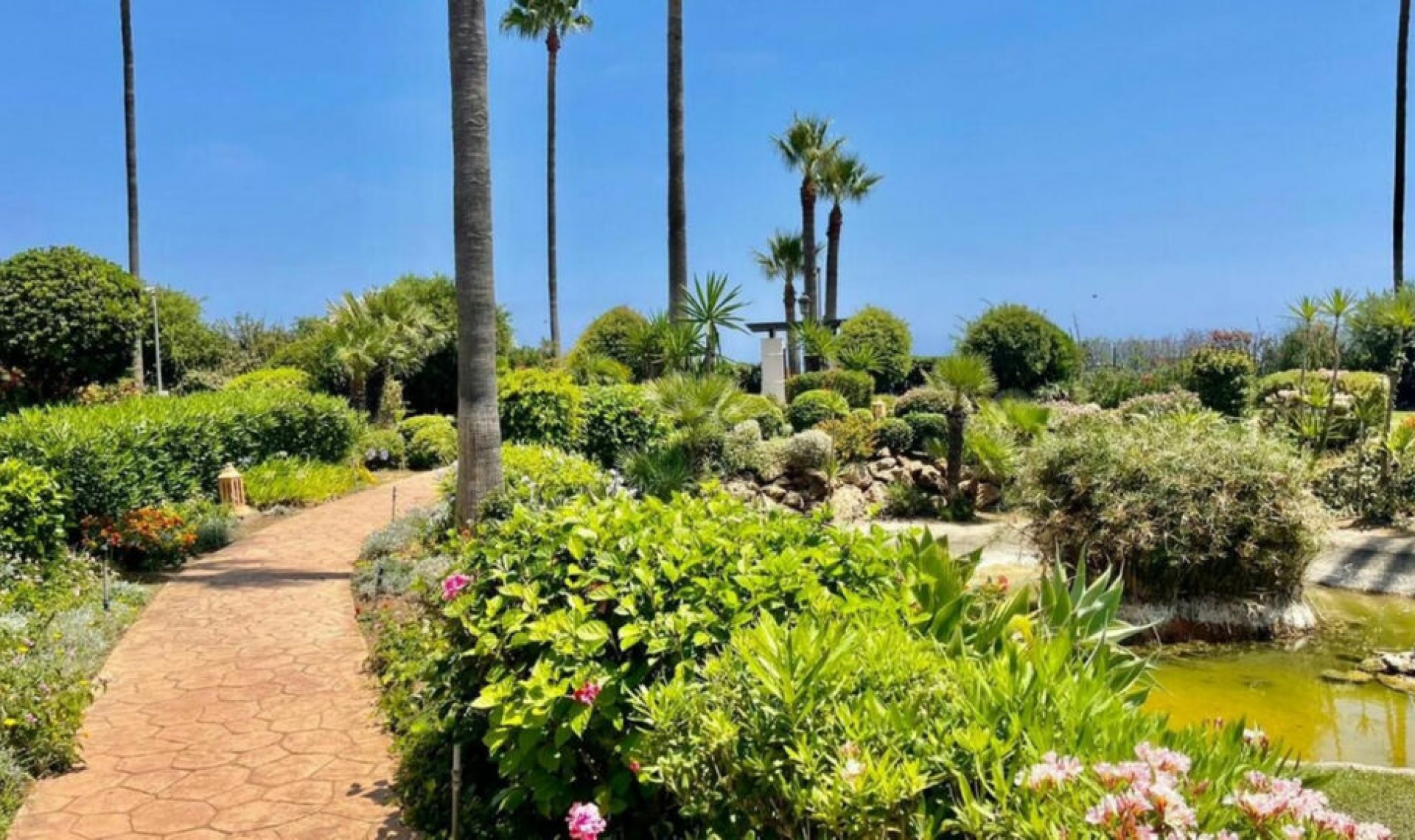 Resale - Apartment -
Estepona