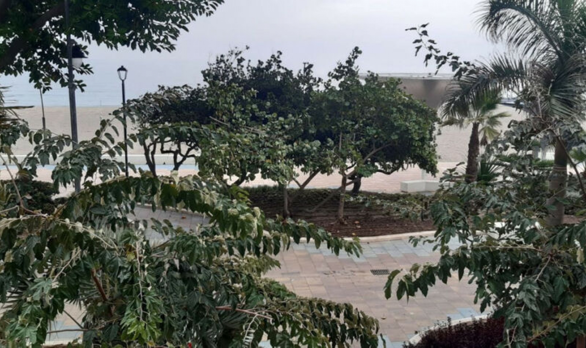 Resale - Apartment -
Estepona