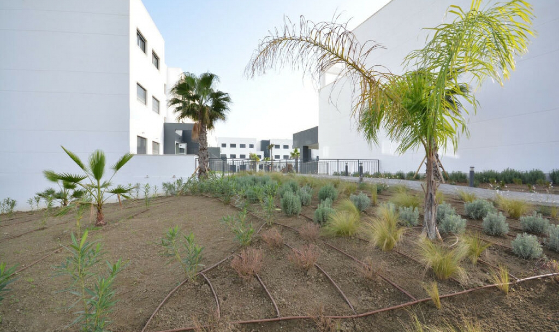 Resale - Apartment -
Estepona