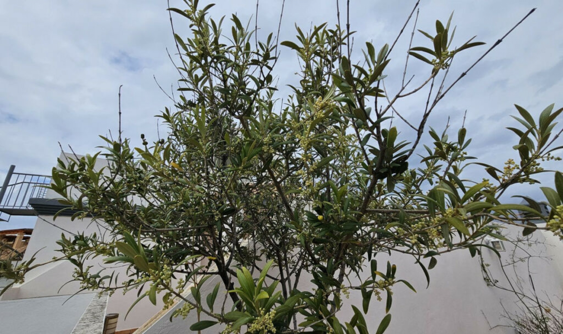 Resale - Apartment -
Estepona