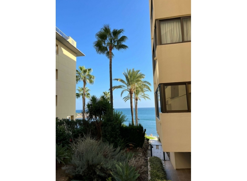 Resale - Apartment -
Estepona