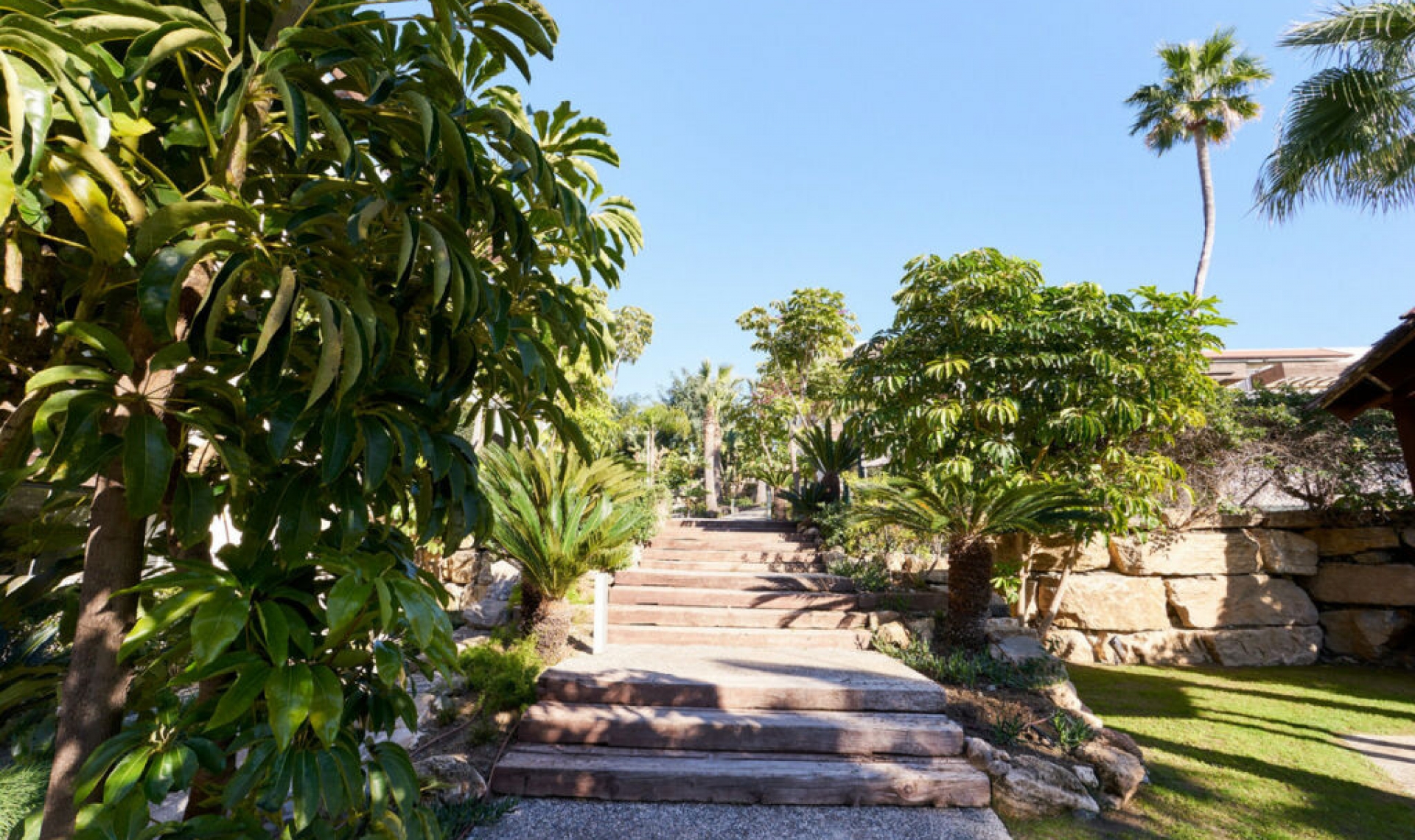 Resale - Apartment -
Estepona