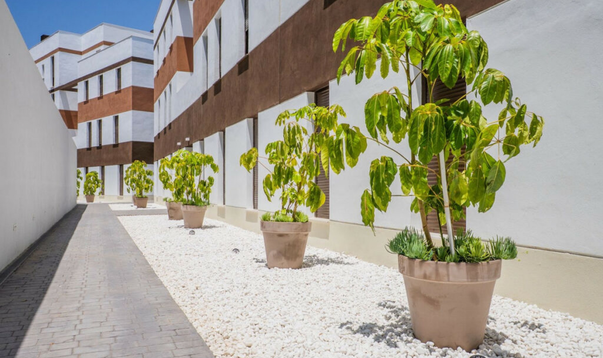 Resale - Apartment -
Estepona