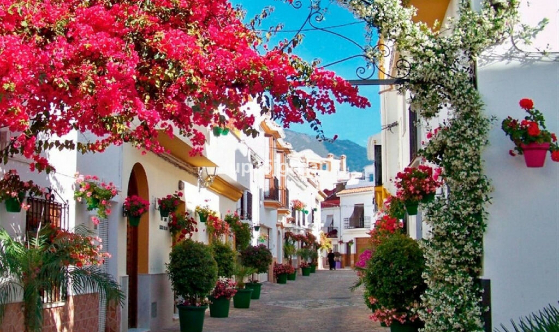 Resale - Apartment -
Estepona