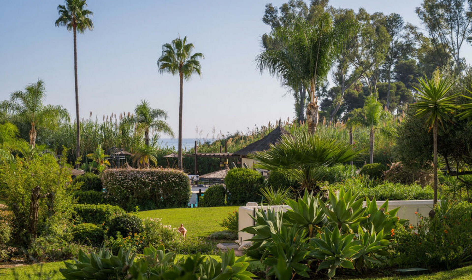 Resale - Apartment -
Estepona