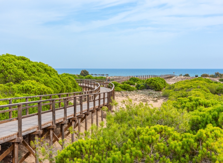 Resale - Apartment / flat -
Gran Alacant