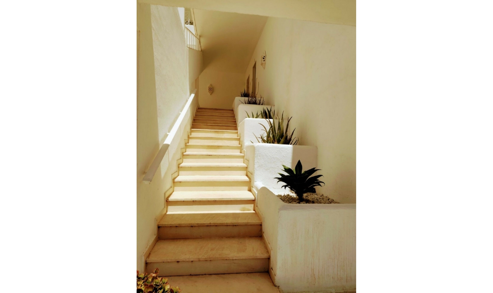 Resale - Apartment -
Guadalmina Alta