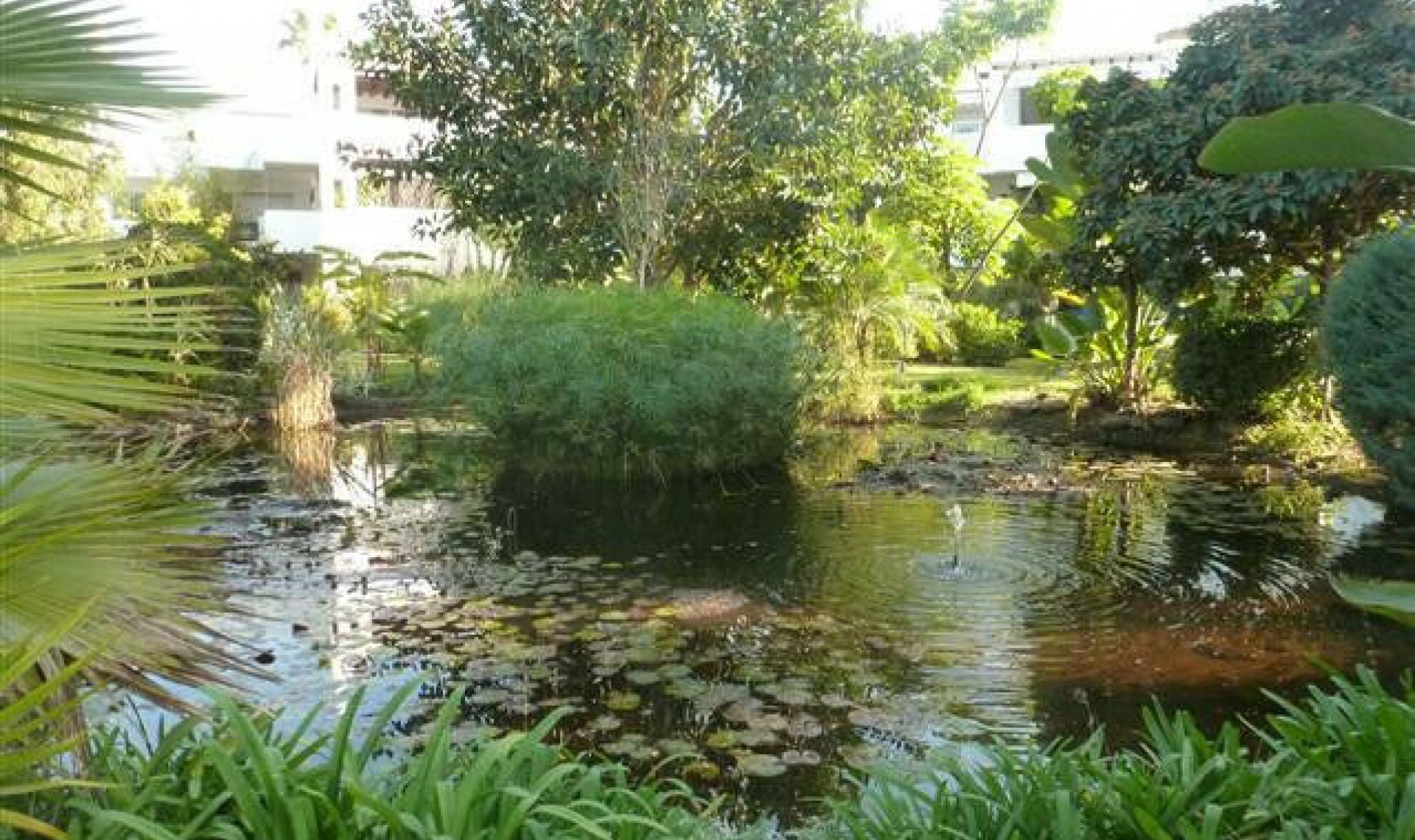 Resale - Apartment -
Guadalmina Baja