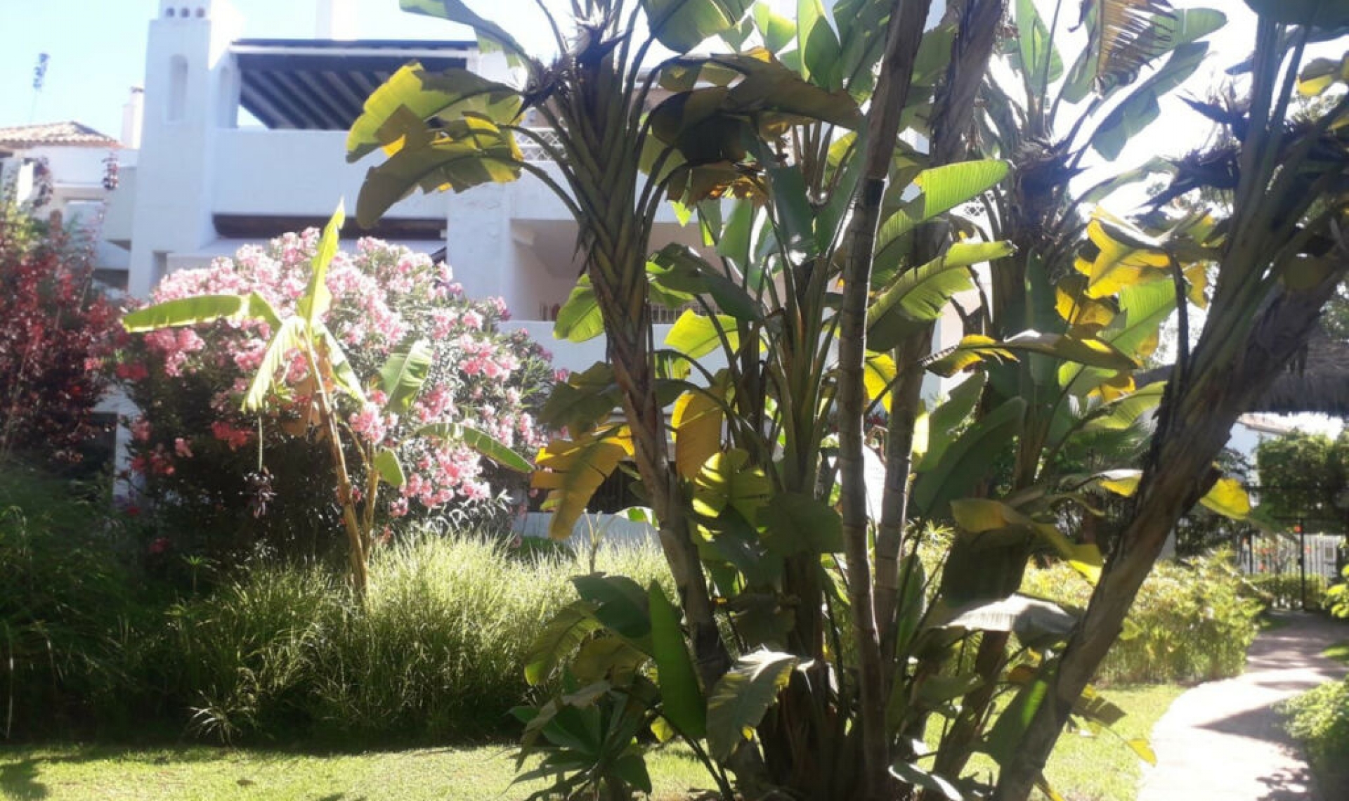 Resale - Apartment -
Guadalmina Baja