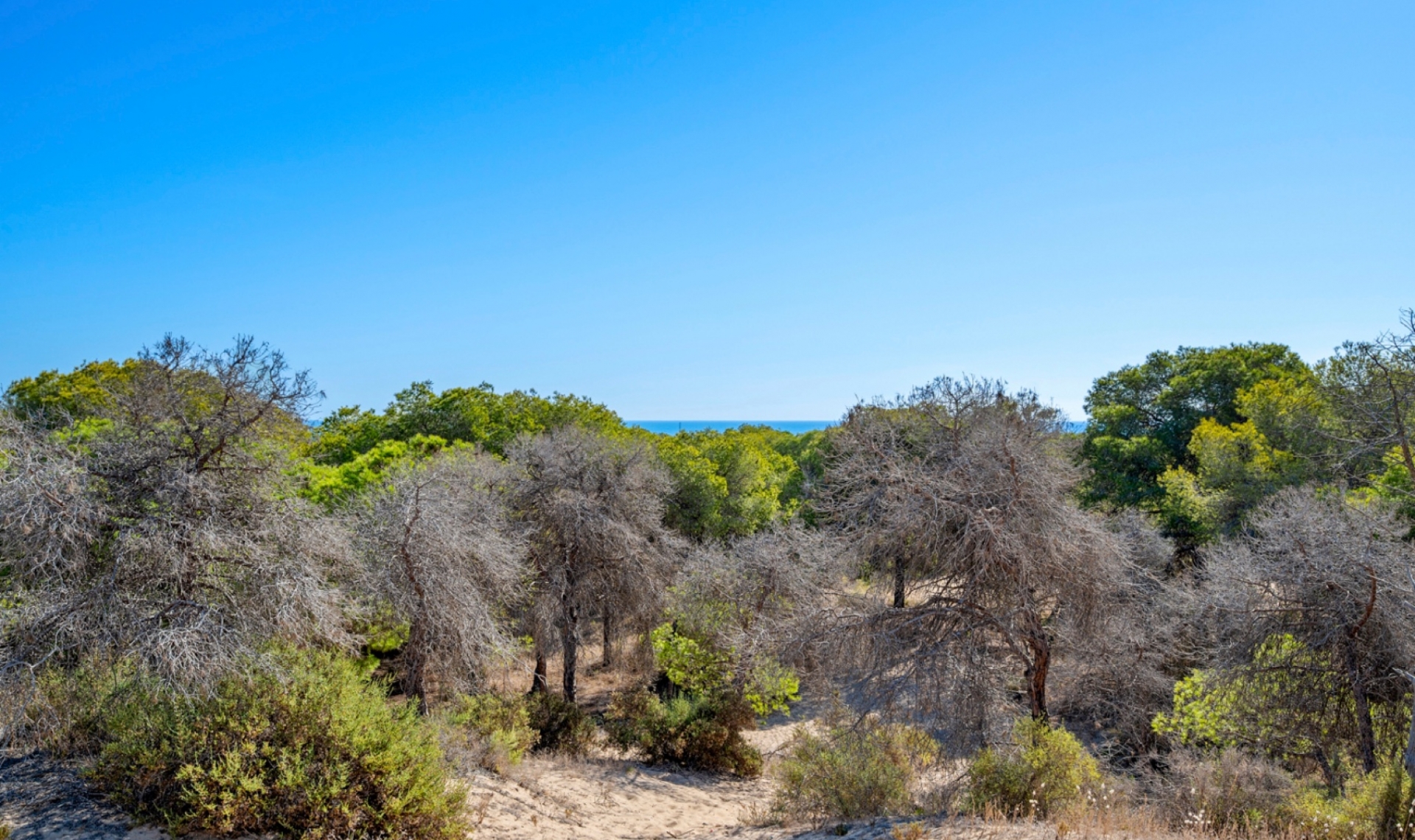 Resale - Apartment -
Guardamar del Segura - Guardamar