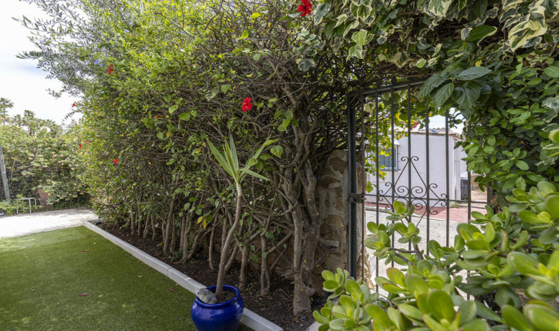 Resale - Apartment -
La Duquesa
