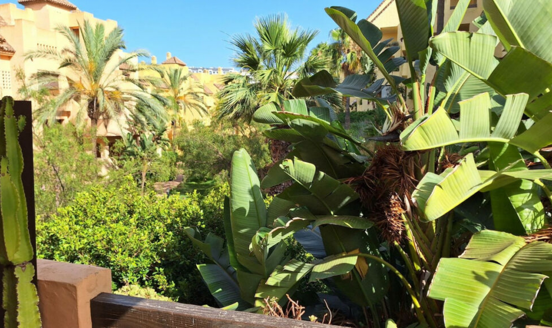 Resale - Apartment -
La Duquesa