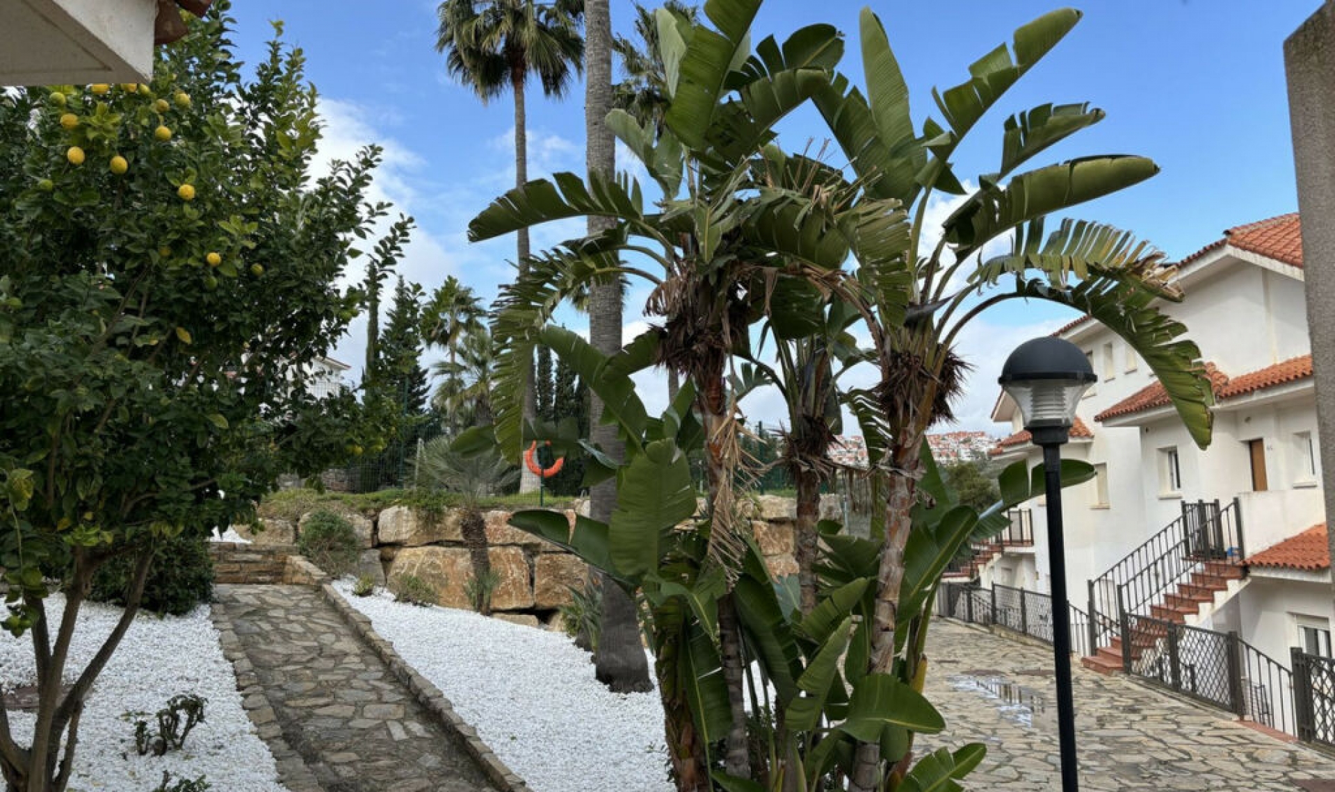 Resale - Apartment -
La Duquesa