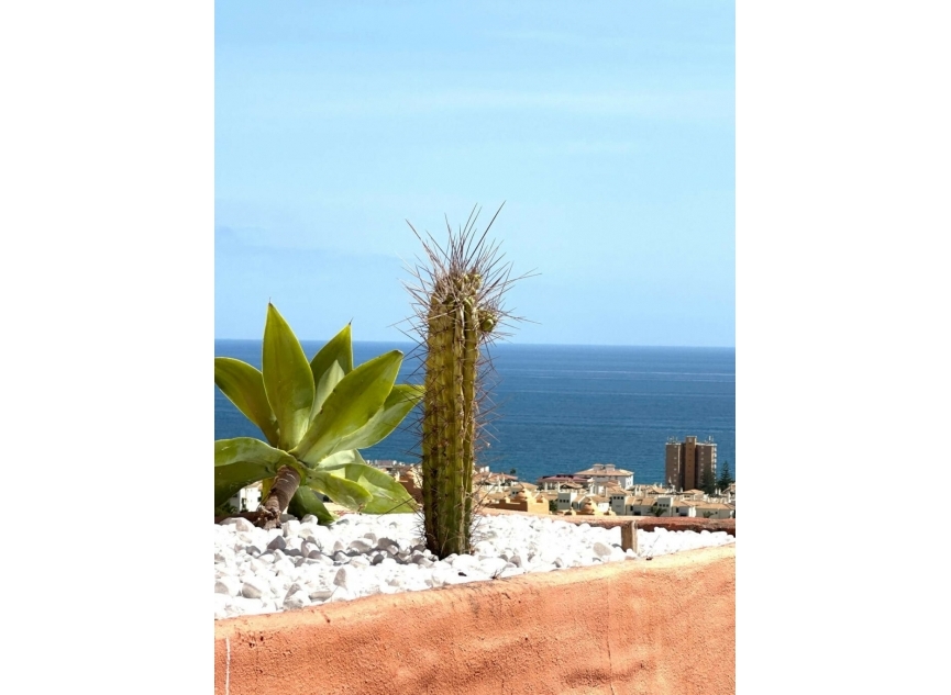 Resale - Apartment -
La Duquesa