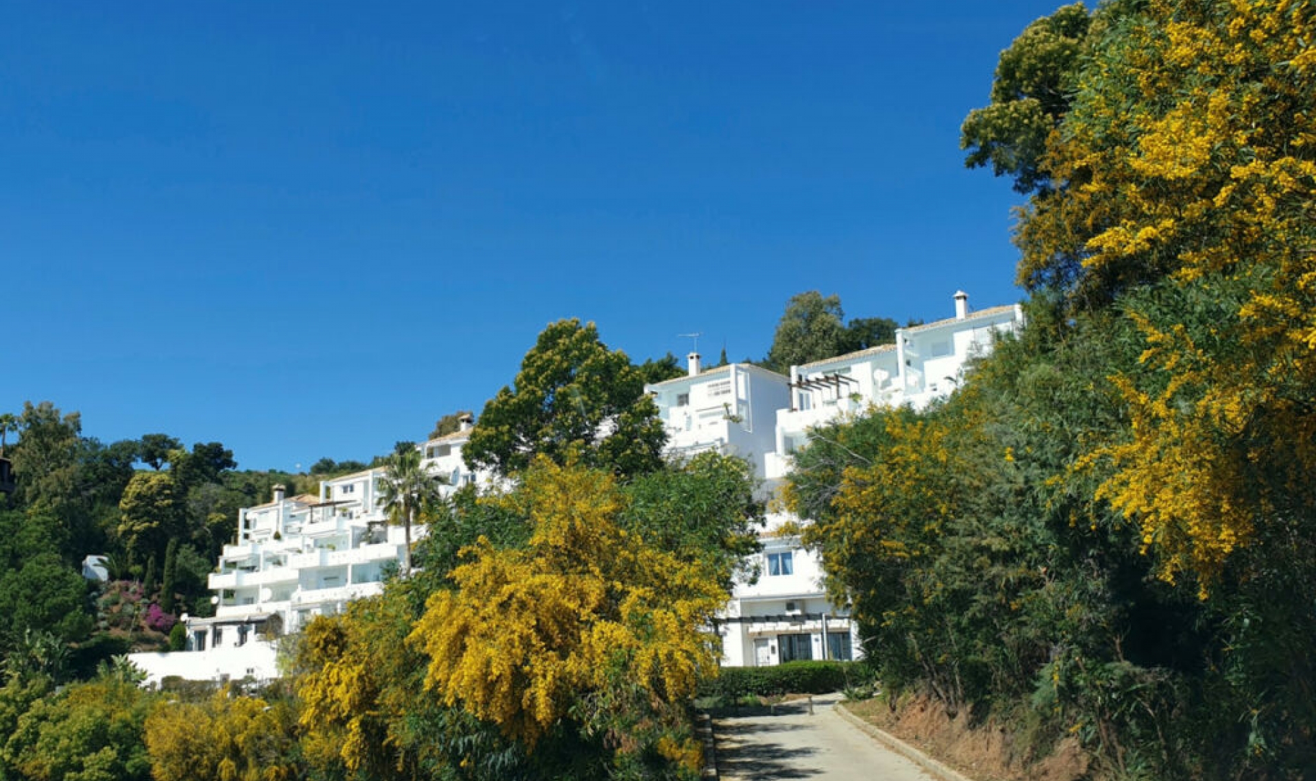 Resale - Apartment -
La Mairena