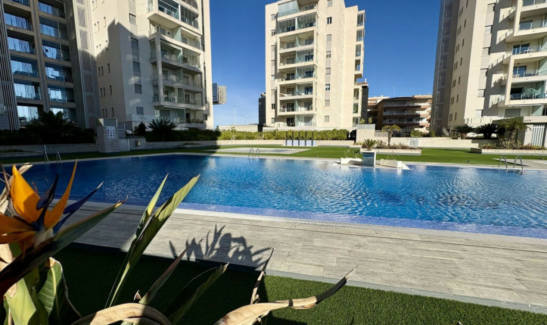 Resale - Apartment -
La Mata