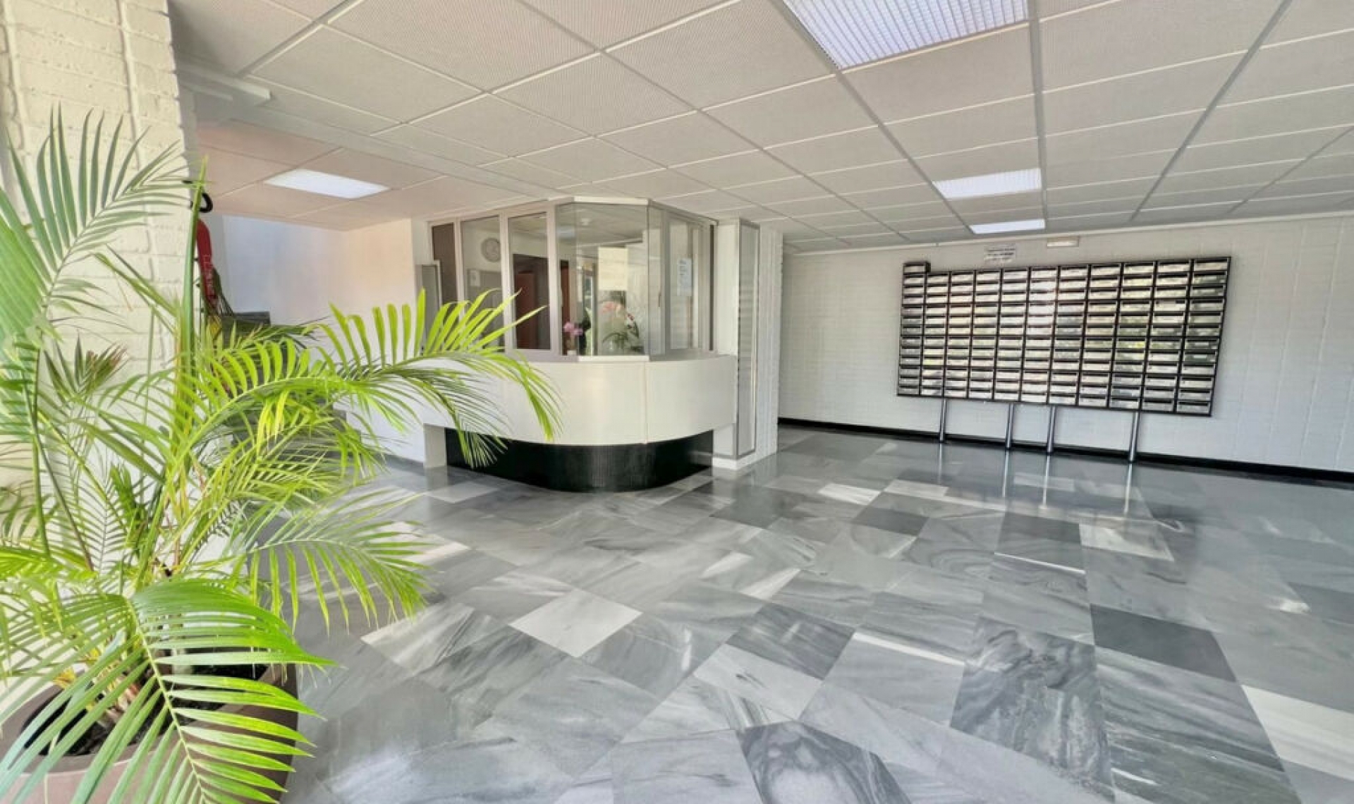 Resale - Apartment -
Las Chapas