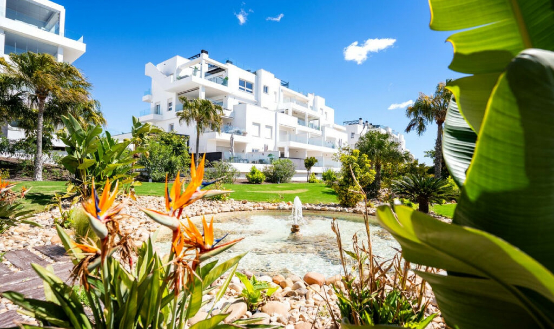 Resale - Apartment -
Los Altos