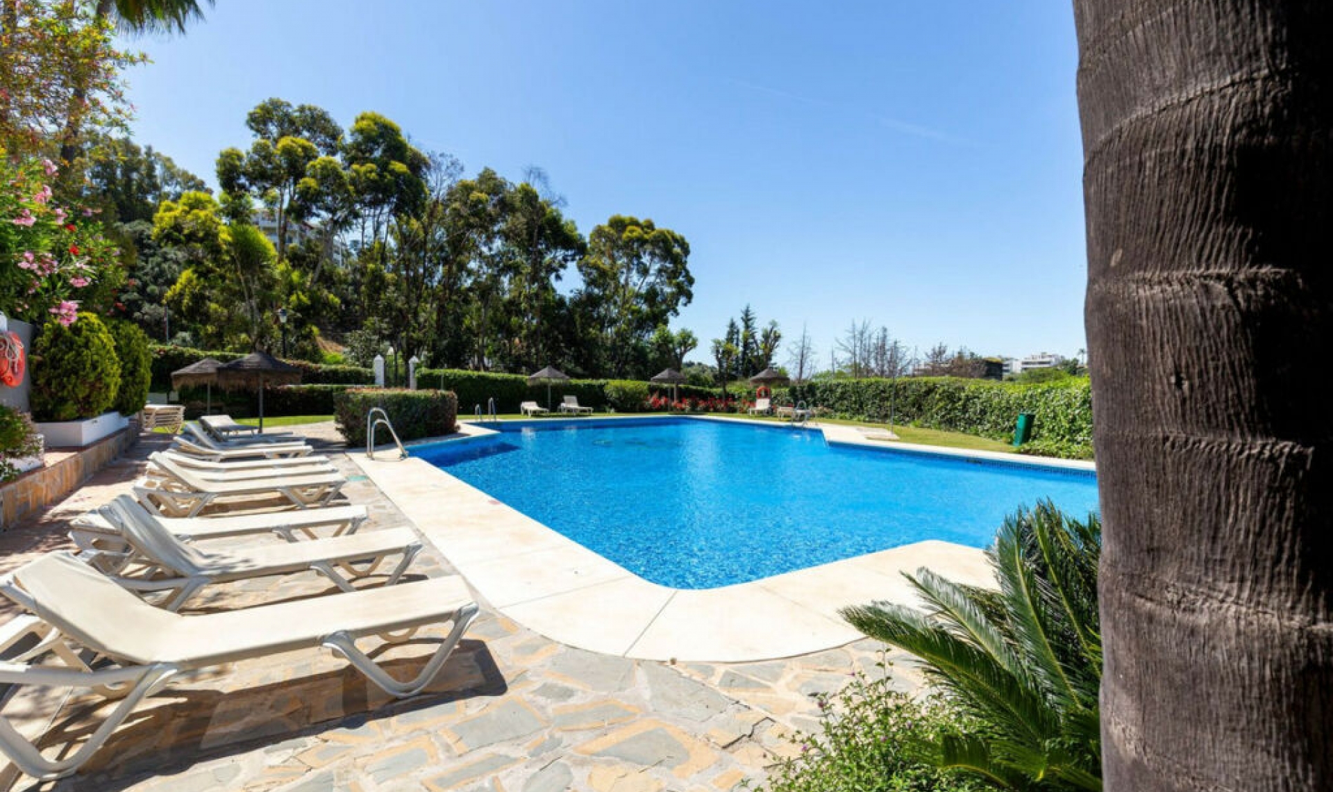 Resale - Apartment -
Los Arqueros