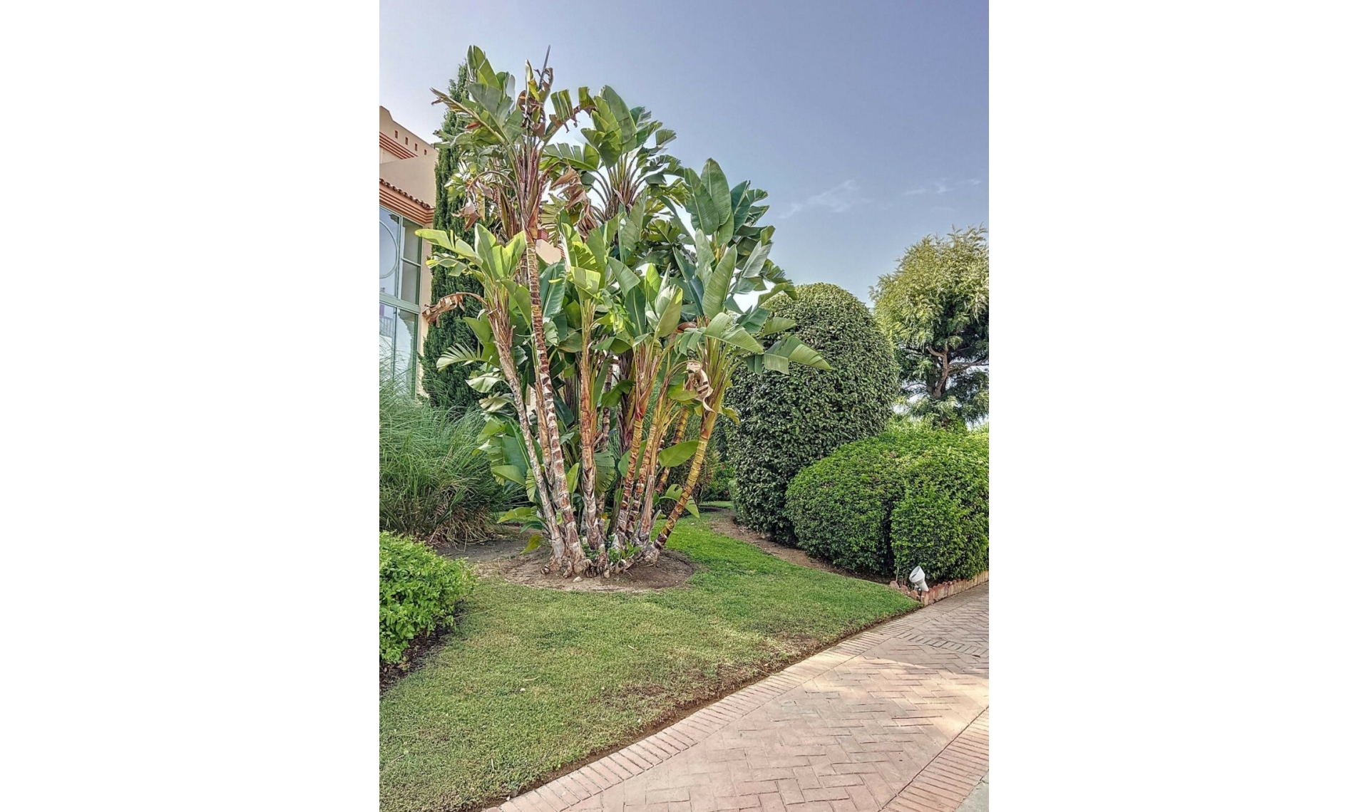 Resale - Apartment -
Los Flamingos