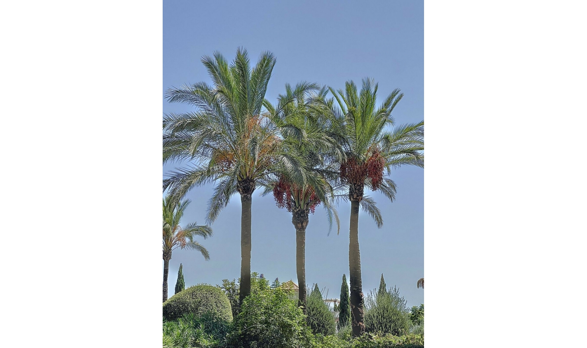 Resale - Apartment -
Los Flamingos