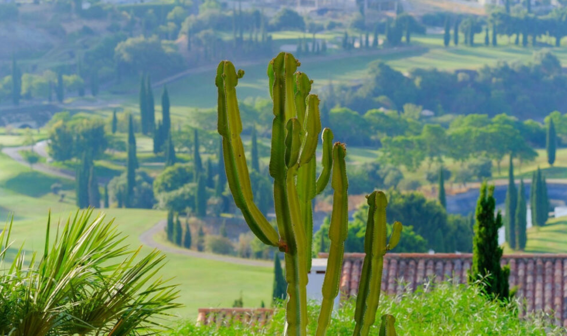 Resale - Apartment -
Los Flamingos