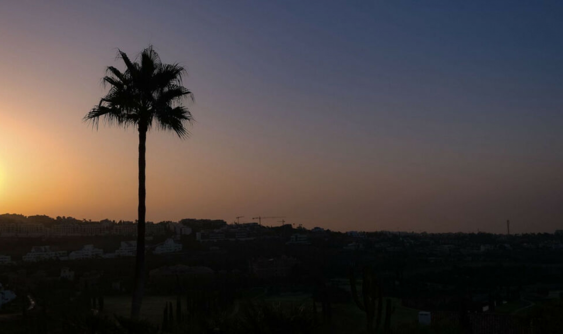 Resale - Apartment -
Los Flamingos