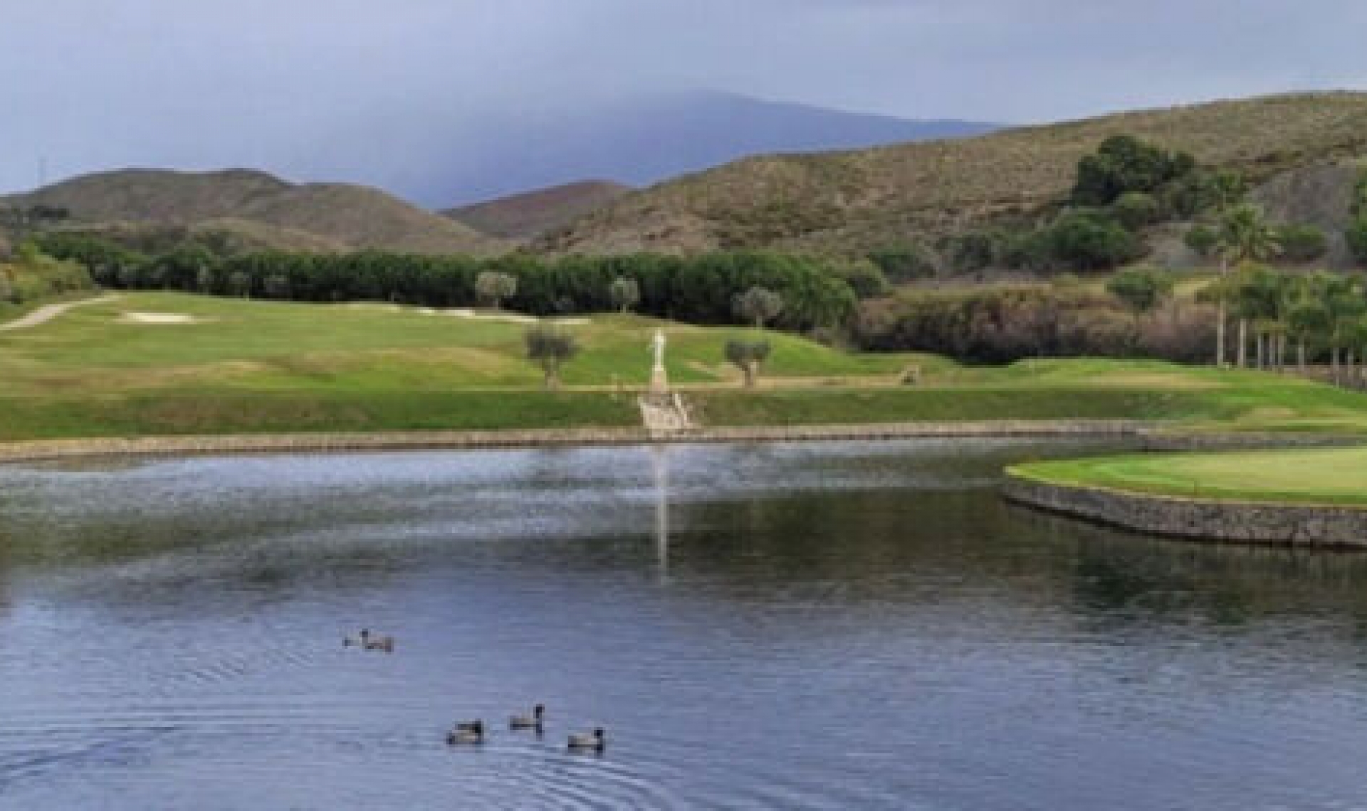 Resale - Apartment -
Los Flamingos