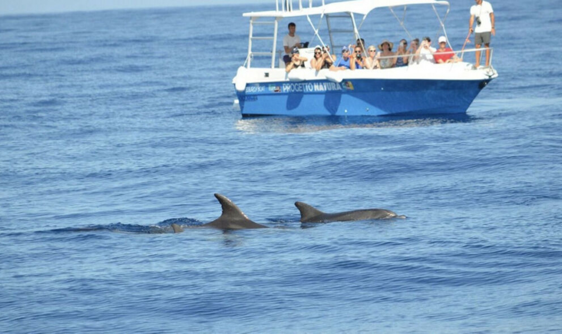 Resale - Apartment -
Los Flamingos