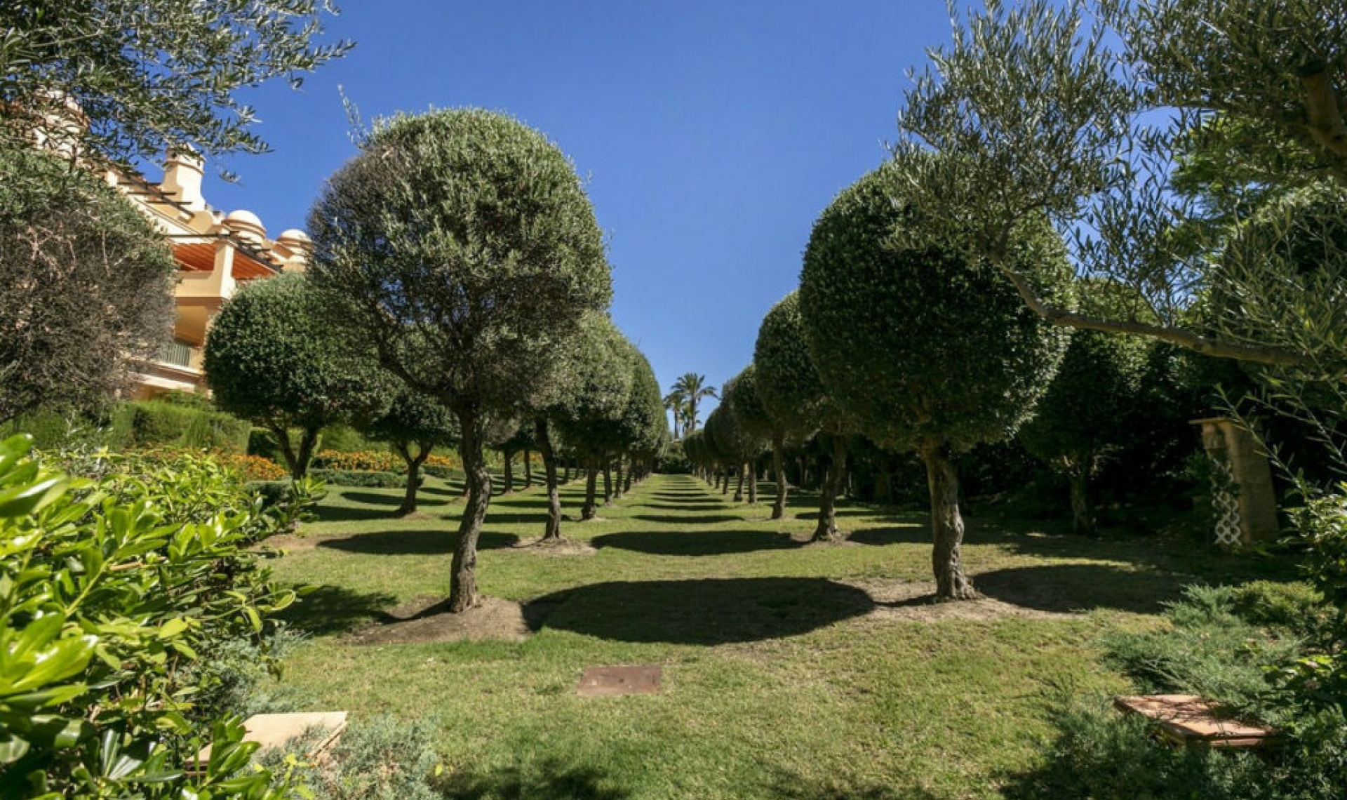 Resale - Apartment -
Los Flamingos