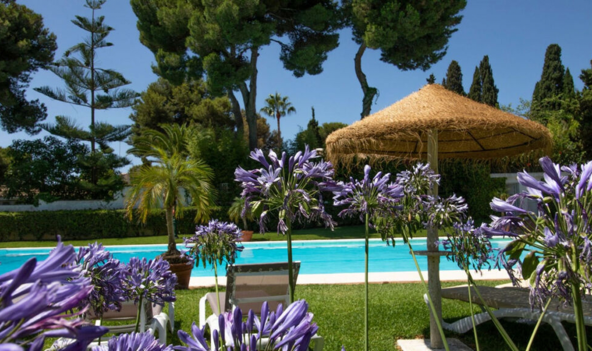 Resale - Apartment -
Los Monteros