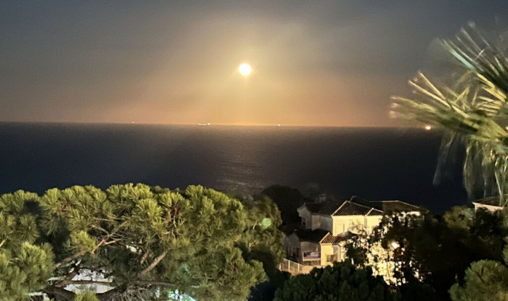 Resale - Apartment -
Manilva