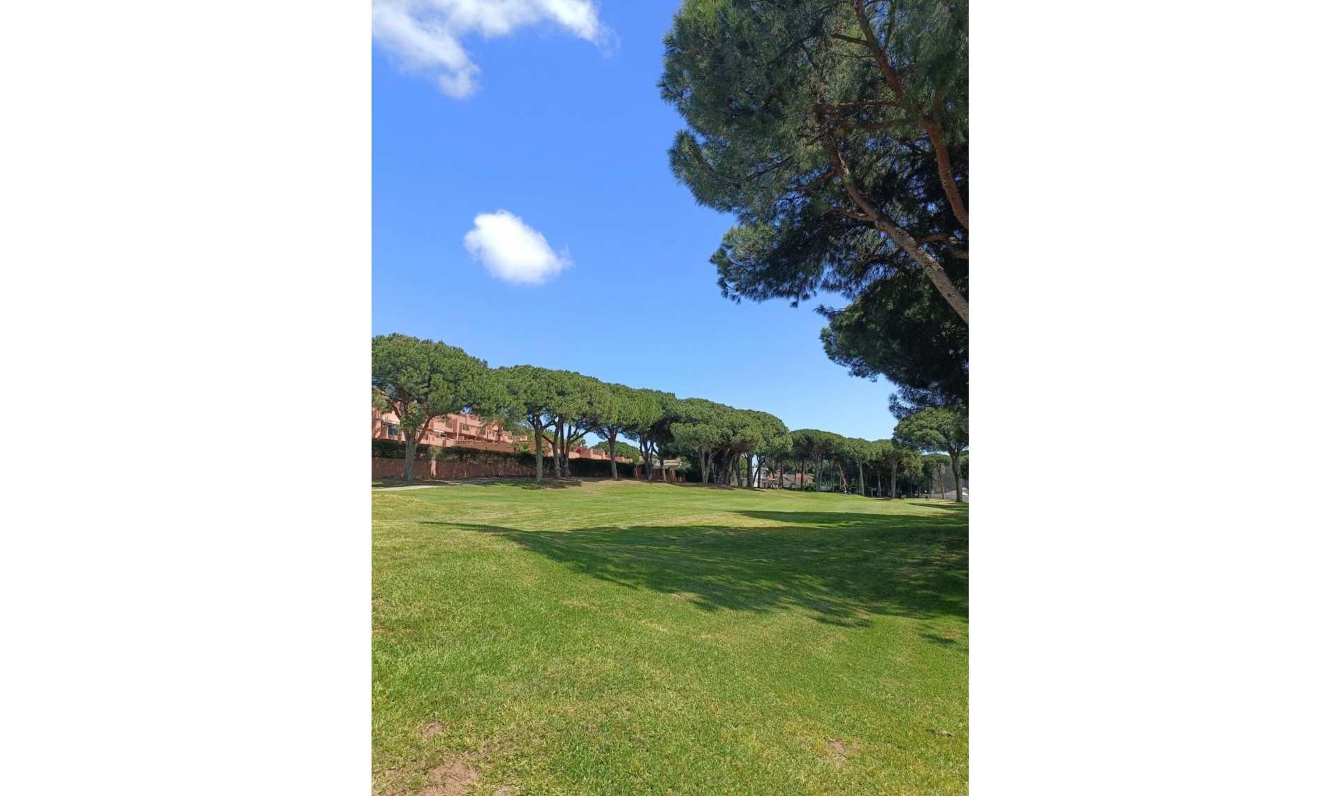 Resale - Apartment -
Marbella