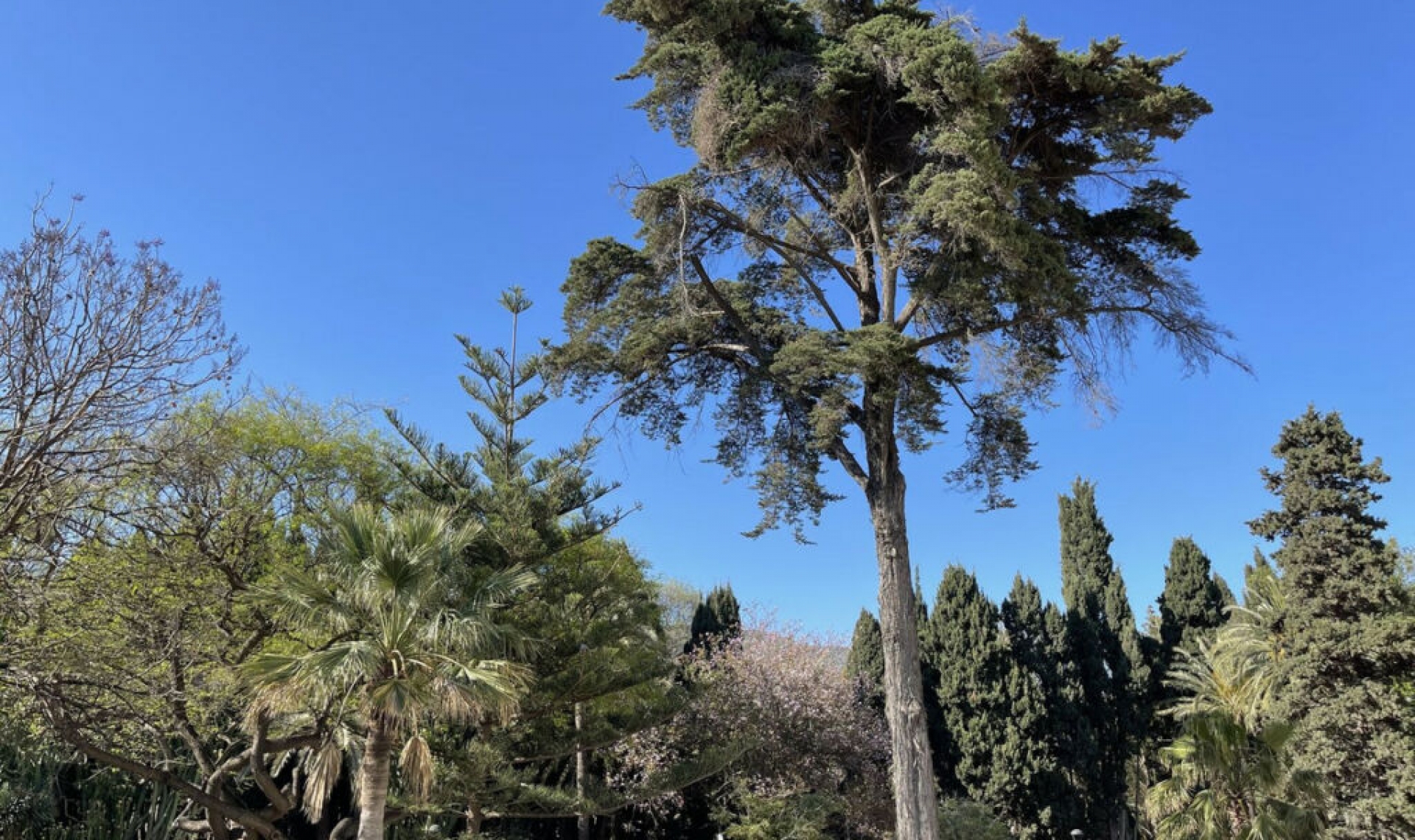 Resale - Apartment -
Marbella