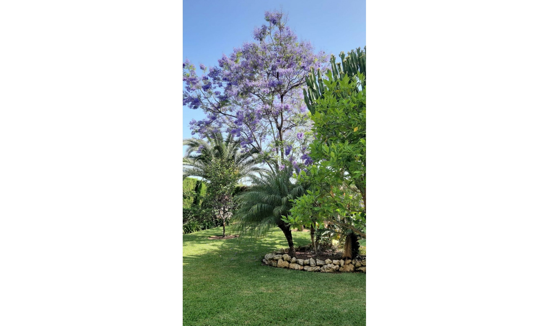 Resale - Apartment -
Marbella