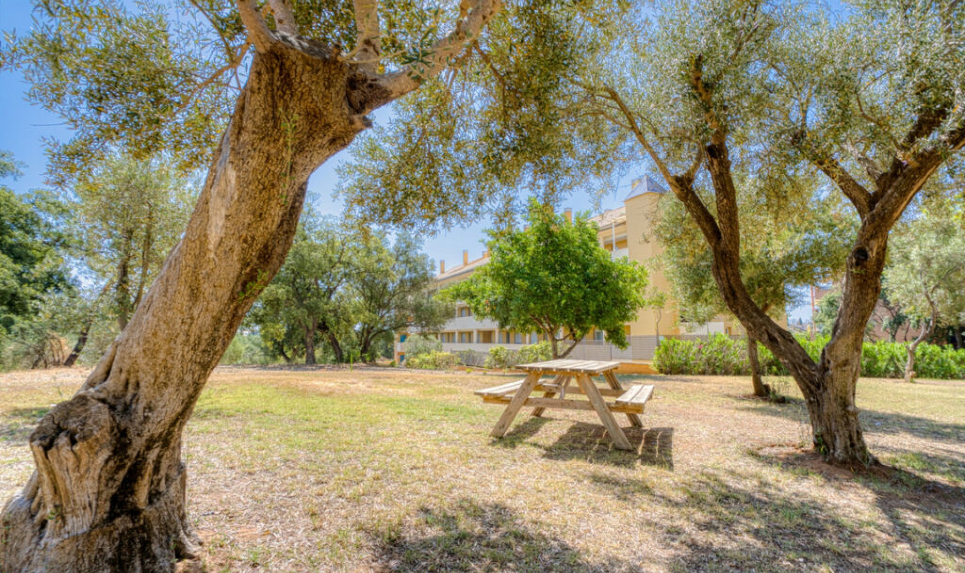 Resale - Apartment -
Marbella