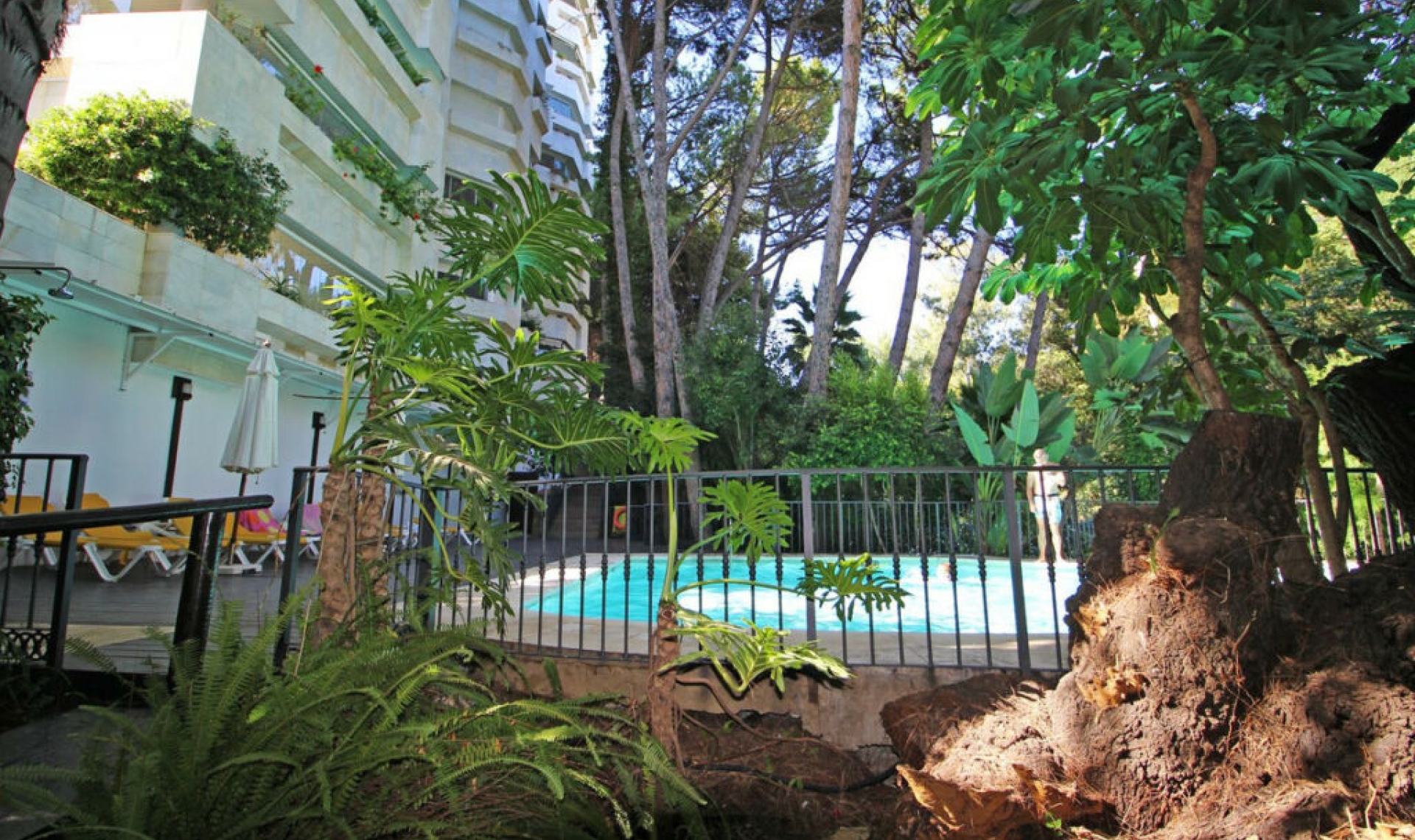 Resale - Apartment -
Marbella