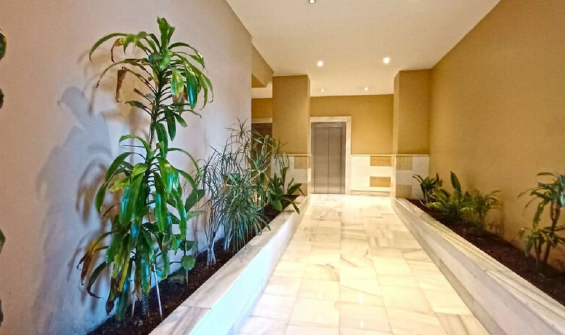 Resale - Apartment -
Marbella